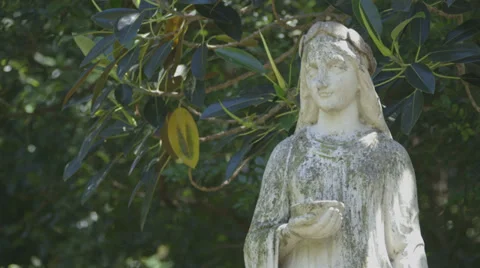 Statue in trees Stock Footage 29672232
