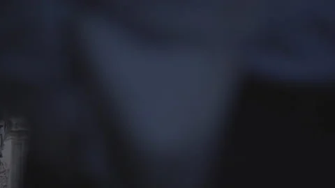 Statue in Vatican, Rome 動画素材 238667814