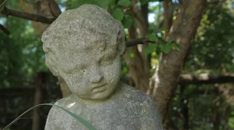 Statue With Vegetation in Background Vidéo 67431861