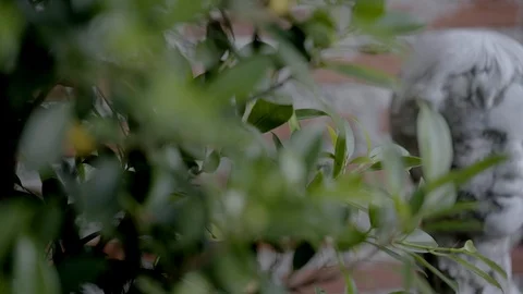 Statue was damaged in the garden. Stock Footage 100975045
