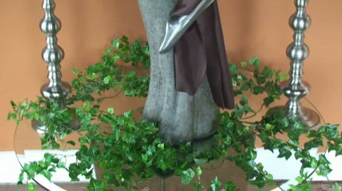 Statue01 Stock Footage 556723