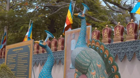 Statues of beautiful blue peacocks placed alongside cone shaped bushes Stock Footage 318671276