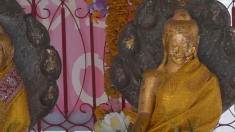 Statues of The Buddha protected by Naga King Mucilinda gilded of golden leaves  Stock Footage 308890446