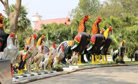 Statues cocks Stock Photos