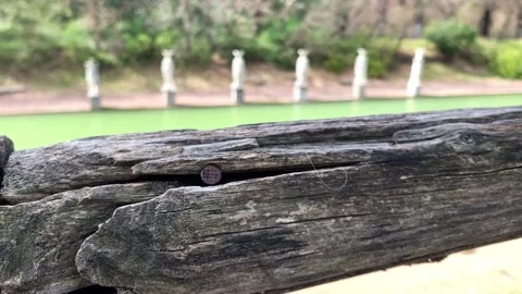 Statues Stock Footage 157755547