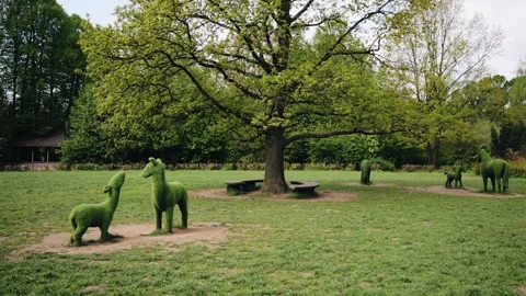 Statues of green animals stand in the park in a clearing. Close-up shooting Stock Footage 311762155