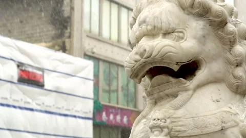 Statues of guardian lions Stock Footage