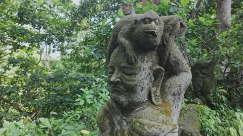 Statues in the Monkey Forest, Ubud, Bali, Indonesia. Stock Footage 271443701