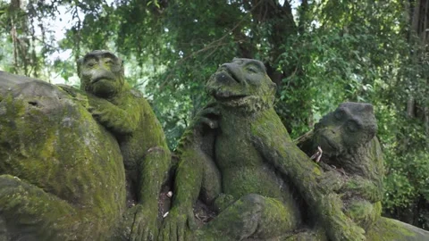 Statues of Monkeys in the Monkey Forest, Ubud, Bali, Indonesia. Stock Footage 271444343