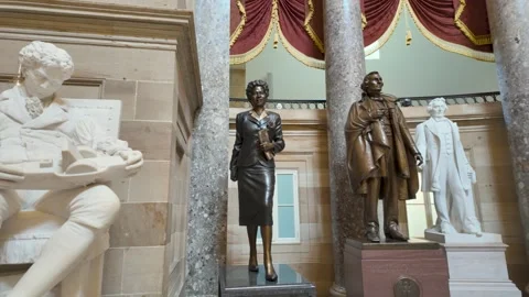 Statues in the national collection inside the US Capitol building, Washington Vídeo Stock 313710956