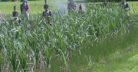 Statues standing in the water 動画素材 85223173