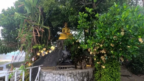 Statues under decorated trees. Stock Footage 232220924