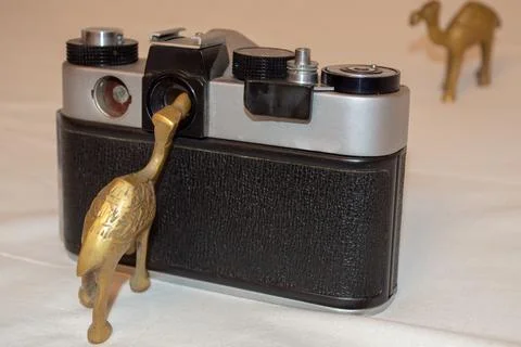 Statuette of a camel near a retro camera on a white background Foto stock