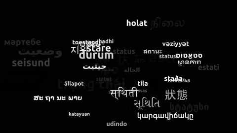 Status Translated in 60 Worldwide Languages Endless Looping 3d Zooming Wordcl Stock-Footage 145223436