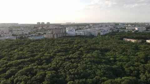 Stavropol Urban Forest Blocks Drone Fly Forward 4K Stock Footage 336949711