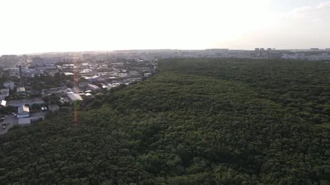 Stavropol Urban Forest Close Up Drone Fly Forward 4K Stock Footage 336949800