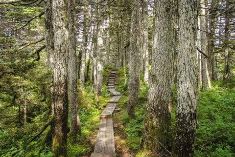 Stay on the path Stock Photos