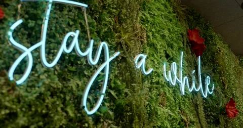 Stay a While Neon Sign on Moss Wall With Red Rose Stock-Footage 340279584