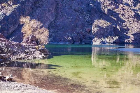 Stay a while. Stock Photos