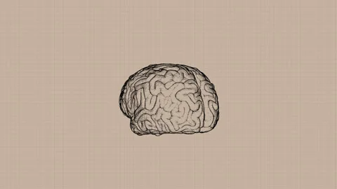 STCK TOONOBJECTS ANIM brain v001 Stock Footage 253563040