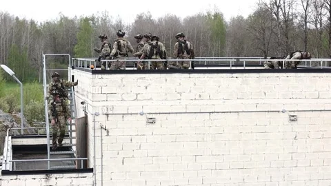 Steadfast Defender 2024, The US Army exercise Swift Response 24, Kvarn Stock Footage 274667540