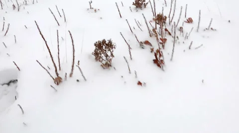 Steadicam of an extremely cold ocean coast Stock Footage 34010893