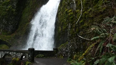 Steadicam Multhomah Falls Oregon Stock Footage 60205269