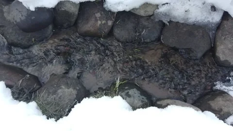 Steadicam pan shot of flowing spring water with snow and some grass around Stock Footage 165025822