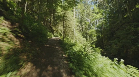 A Steadicam running fast over a path in the black forrest in Germany. Video stock 63224935