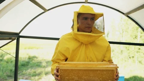Steadicam shot of beekeeper man walking with wooden frames working in apiary Stock Footage 77734059