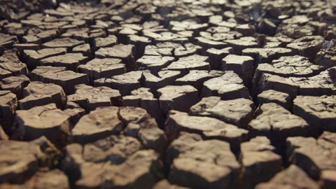 Steadicam shot of dried mud ridges in the savanna Video stock 278929539