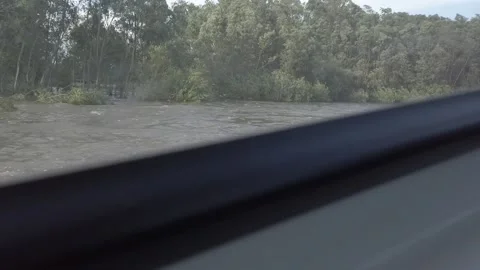 Steadicam shot from left side of boat on the river with tree in water Stock Footage 164893140