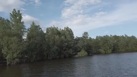 Steadicam shot from left side of boat on the river with forest on water Stock Footage 164893142