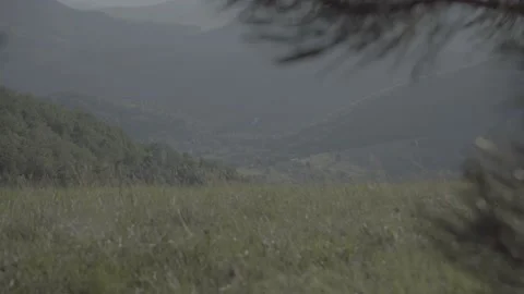 Steadicam shot meadows and forests at dusk Video stock 196893440