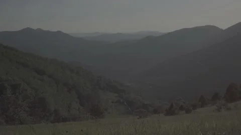 Steadicam shot meadows and forests at dusk Stock Footage 196893602