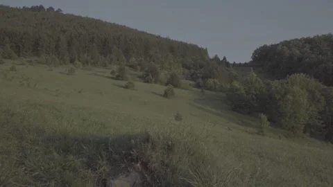 Steadicam shot meadows and forests at dusk Video stock 196893771