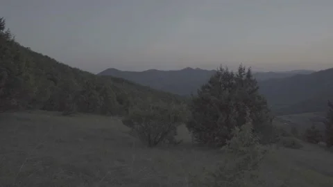 Steadicam shot meadows and forests at dusk Video stock 196894064