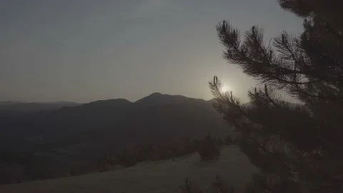 Steadicam shot meadows and forests at dusk Video stock 196894136