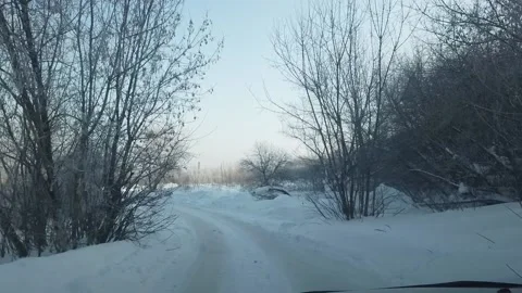 Steadicam shot of ride between trees in hill shadow when siberian winter Stock Footage 165025814