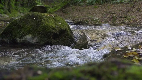 Steadicam shot of river flowing through summer forest at sunset. Stock Footage 127737703