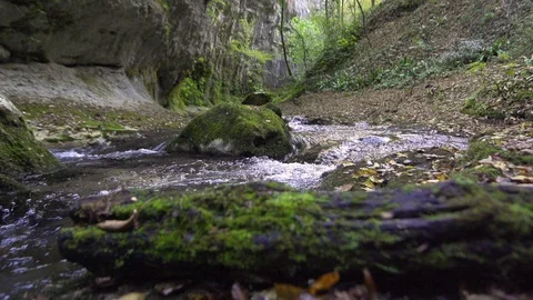 Steadicam shot of river flowing through summer forest at sunset. Stock Footage 127737817