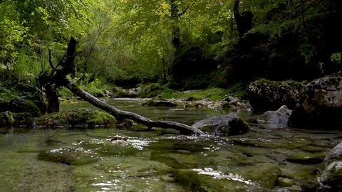 Steadicam shot of river flowing through summer forest at sunset. Video stock 127737994