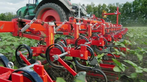 Steadicam shot: Tractor pops sunflower sprouts. Organic agriculture Vidéo 66907097