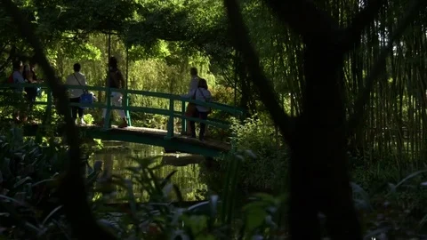 Steadicam track to bridge that inspired painter Monet in France Stock Footage 70004442