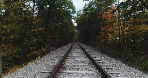 Steadicam: Train Tracks through Autumn Woods 動画素材 89378295