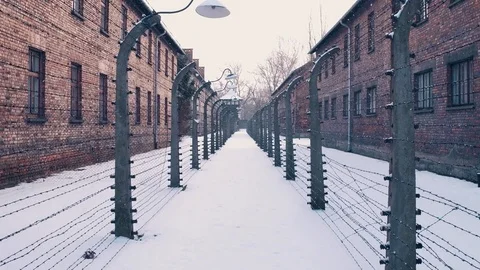 Steadicam walk between barbed wire fences. Auschwitz Birkenau, German Nazi Stock Footage 71602584
