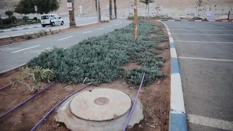 Steadicam walking shot of drip irrigation system for decorative plants against Stock Footage 273914761