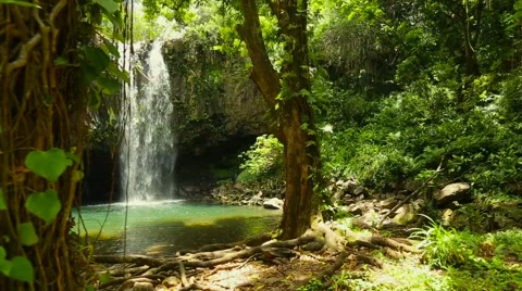 Steadicam Waterfall Stock Footage 52985999