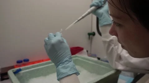 Steadily Working Female Scientist Push Into Shallow Focus Slow Motion Stock Footage 62632014