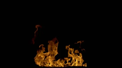 Steady Bonfire/Campfire Loop 04 (HD) Stock Footage 201333786